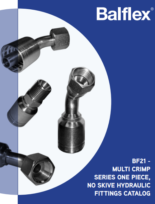 Catalogo BF21
